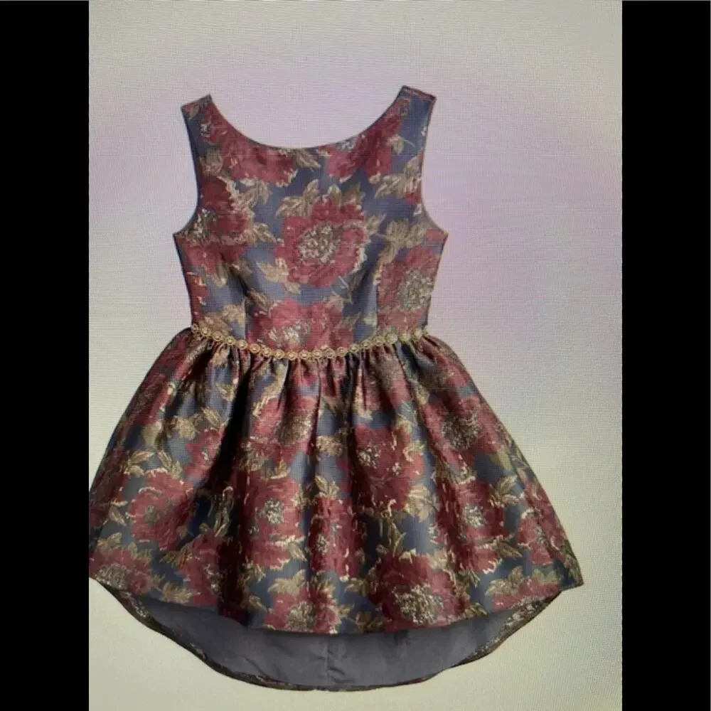 NWT Belle Bagley Mishka 16 floral jacquard dress